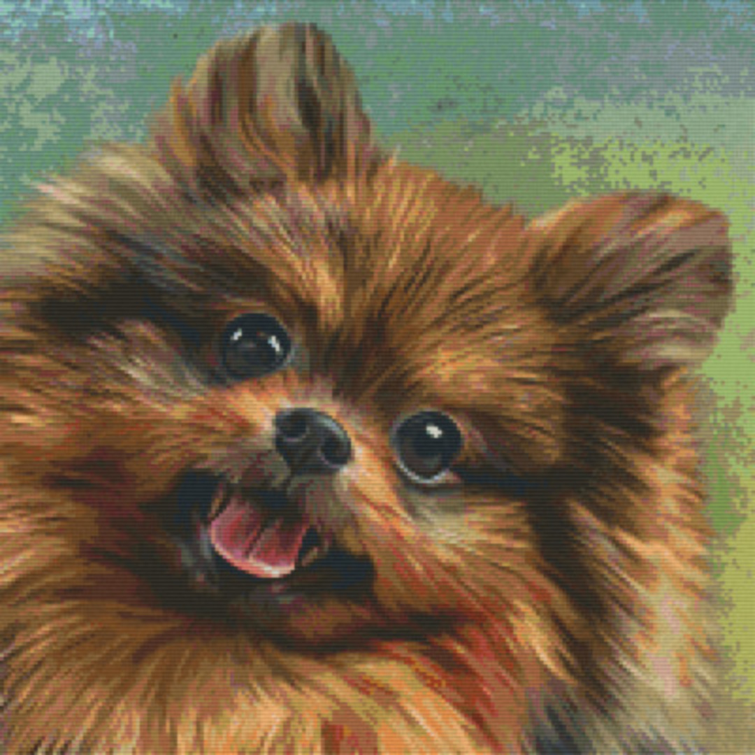 Pomeranian Twenty [20] Baseplate PixelHobby Mini-mosaic Art Kit image 0